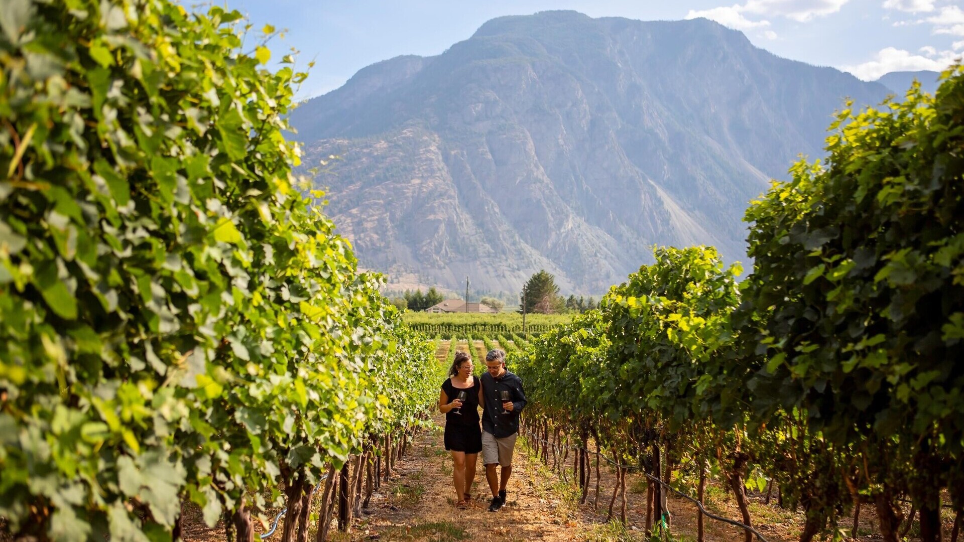 Corcelettes Estate Winery, Similkameen Valley &mdash; Foto: Similkameen Valley / Darren Robinson