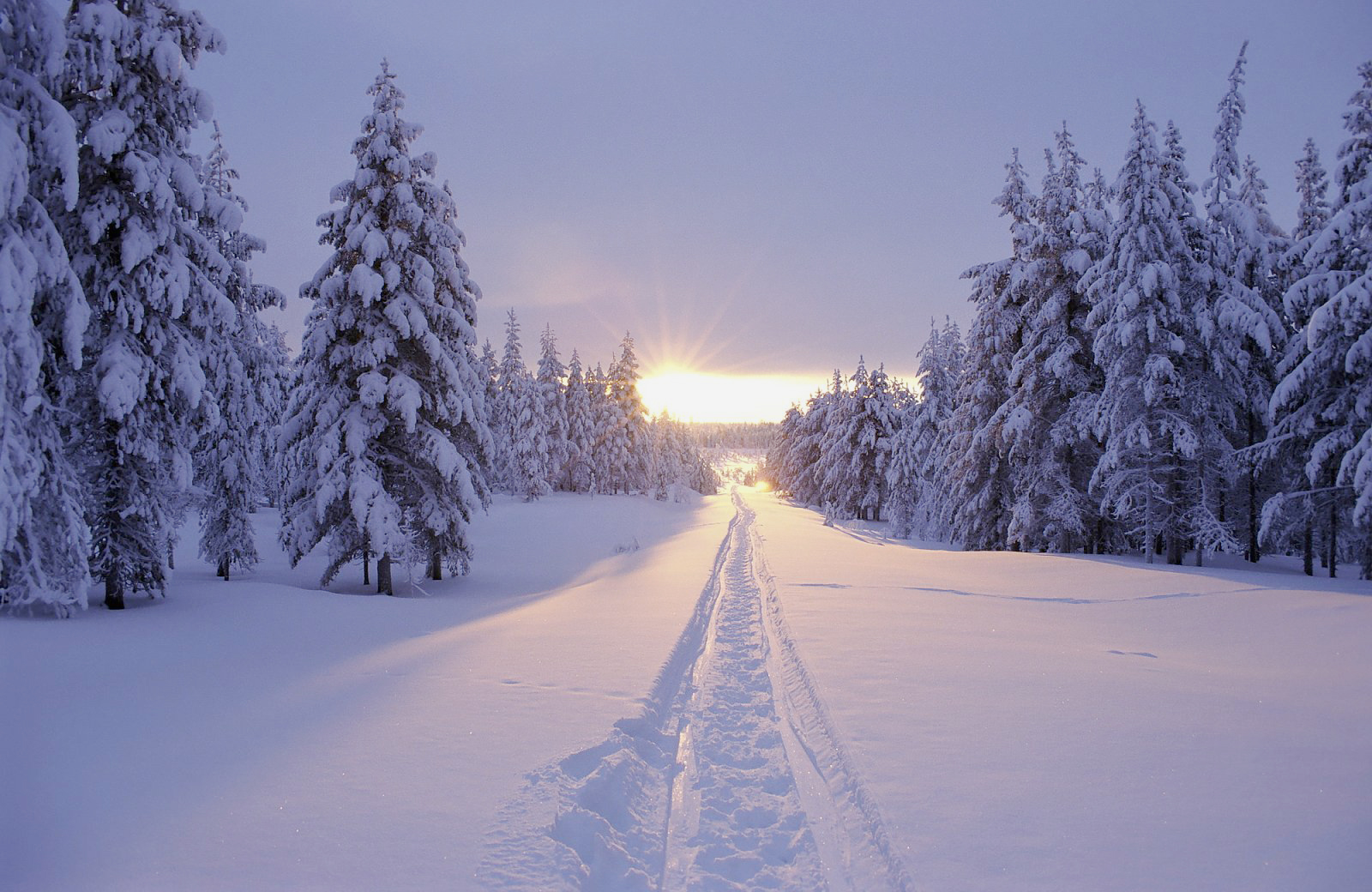 Winterlandschaft am Polarkreis — Foto: Wildnisdorf Solberget