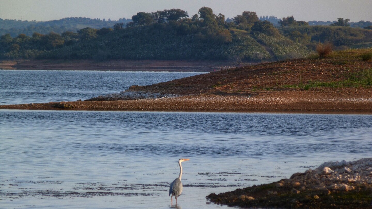 Naturkulisse am Alqueva-See  &mdash; Foto: Jose Miguel Redondo