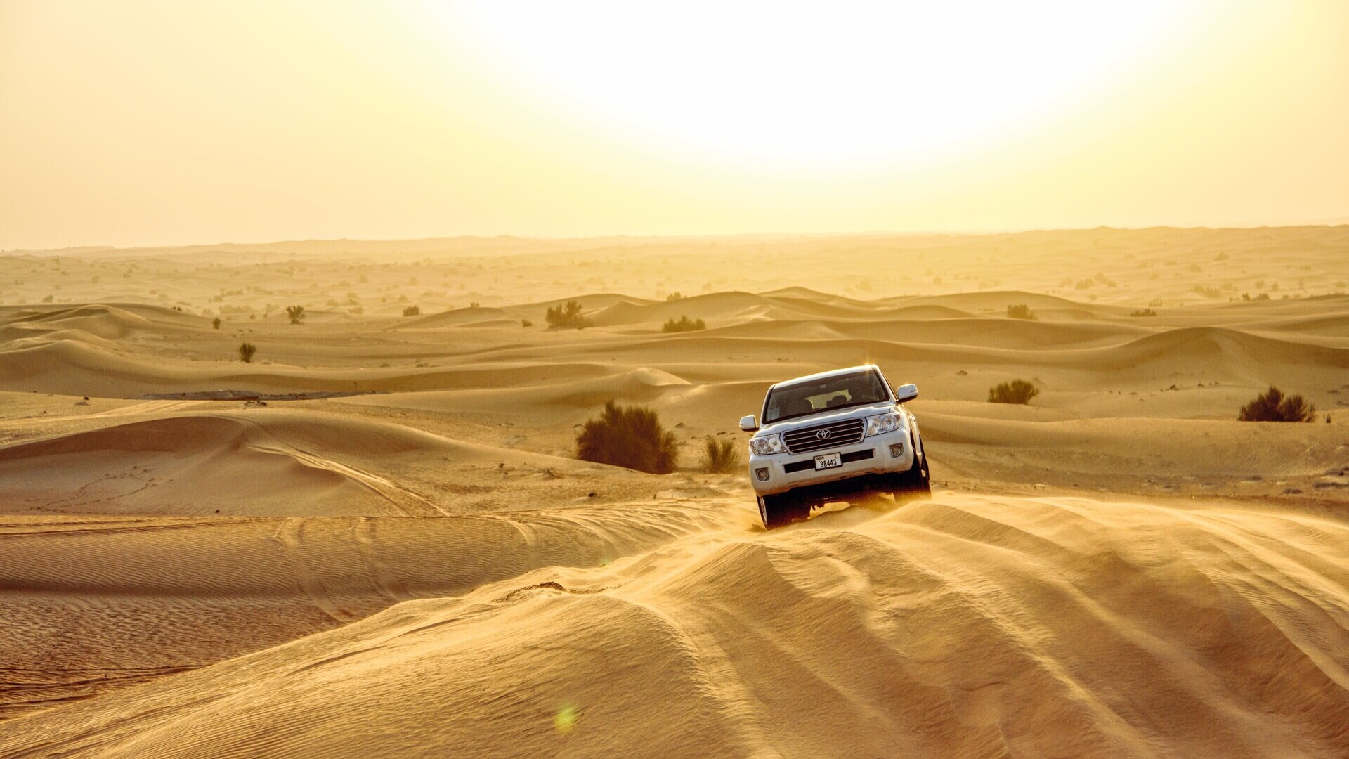 TUI Erlebnis Dubai Desert Safari — Foto: TUI