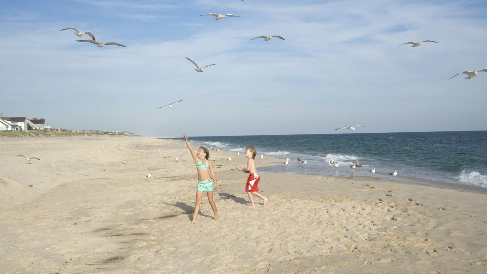Long Island — Foto: LICVB Photos