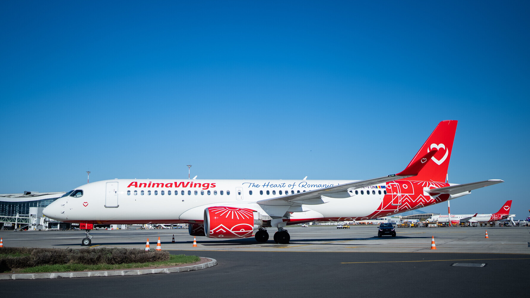 Nach Cluj-Nepoca mit AnimaWings — Foto: AnimaWings