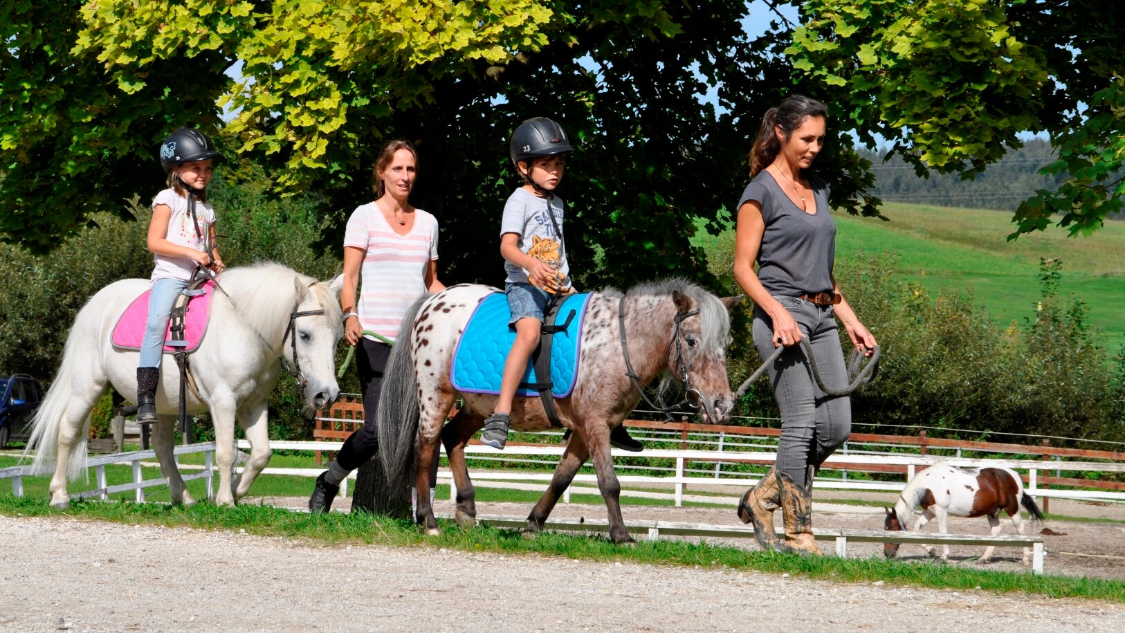 Reitzentrum im Aldiana Club Ampflwang  — Foto: Aldiana Club Resorts