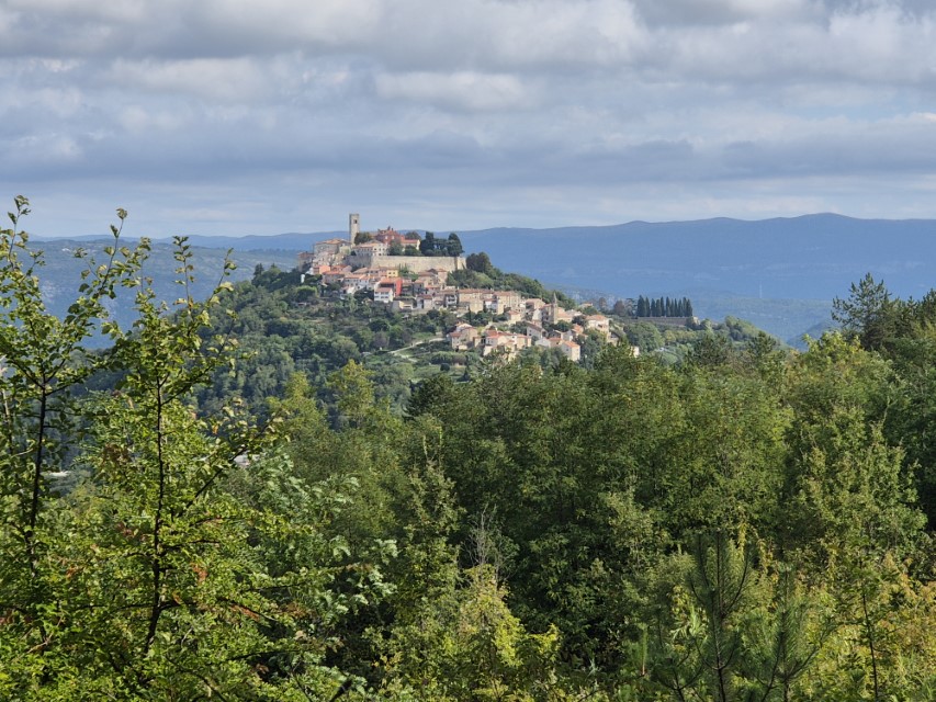 Blick auf Motovun &mdash; Foto: Martha Steszl