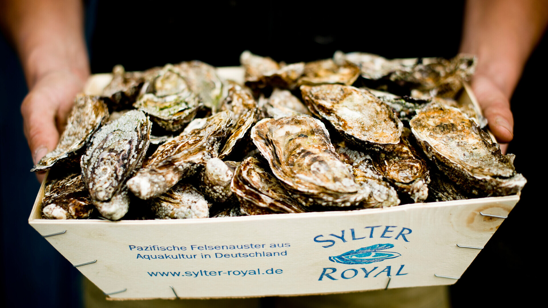 Sylter Royal Austern — Foto: Sylt Marketing / Michael Reidinger