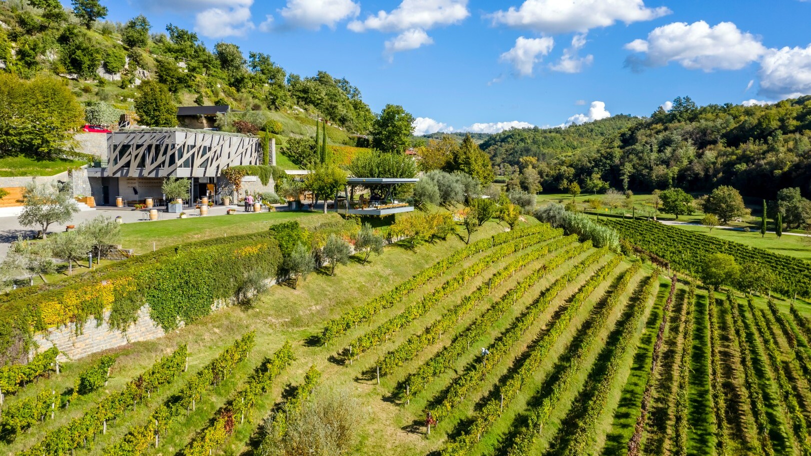 Weingut Kozlović in Istrien — Foto: Günter Standl / ART RedaktionsTeam