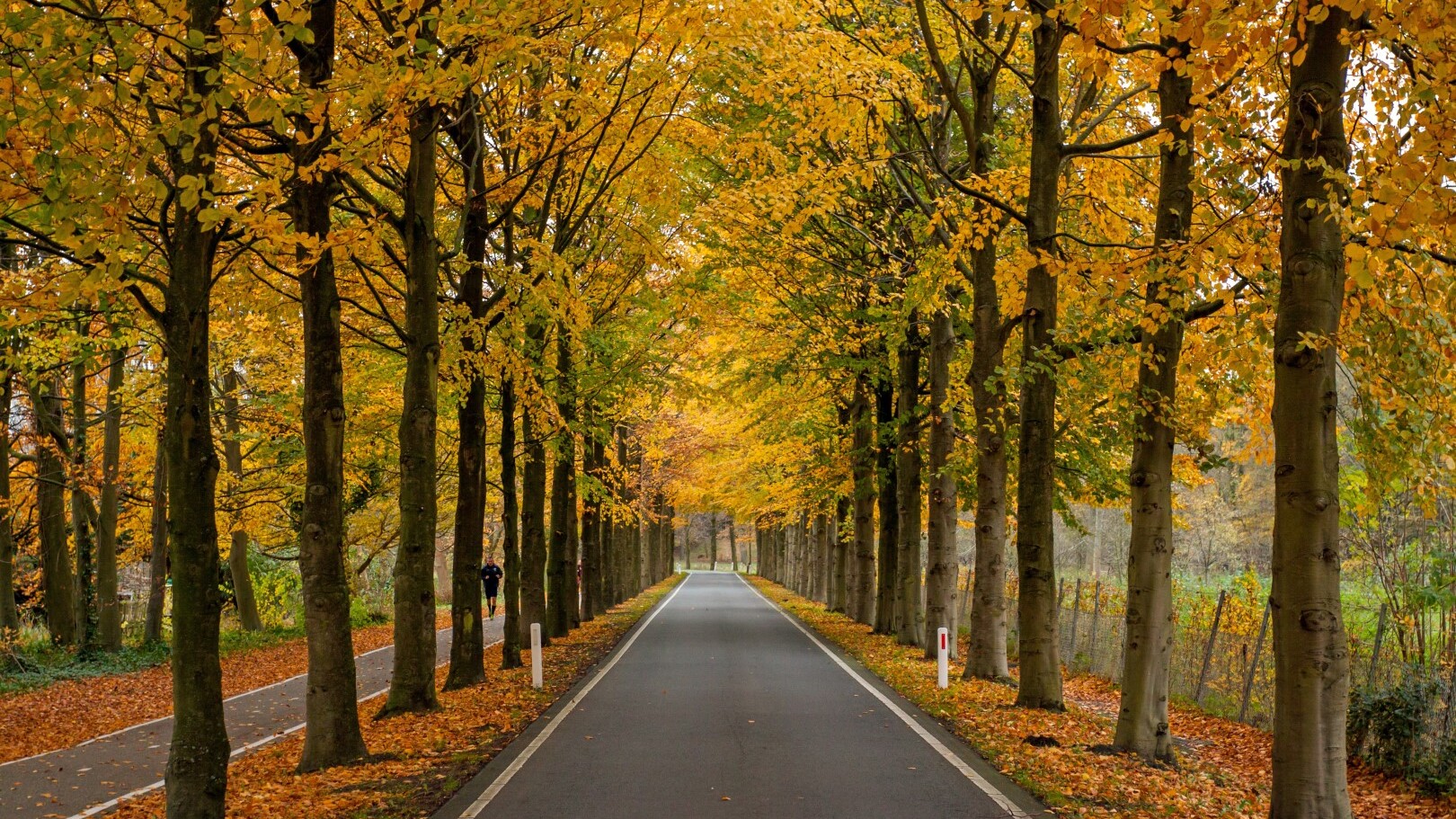 Niederlande, Overveen — Foto: AdobeStock - bereitgestellt von Sunny Cars