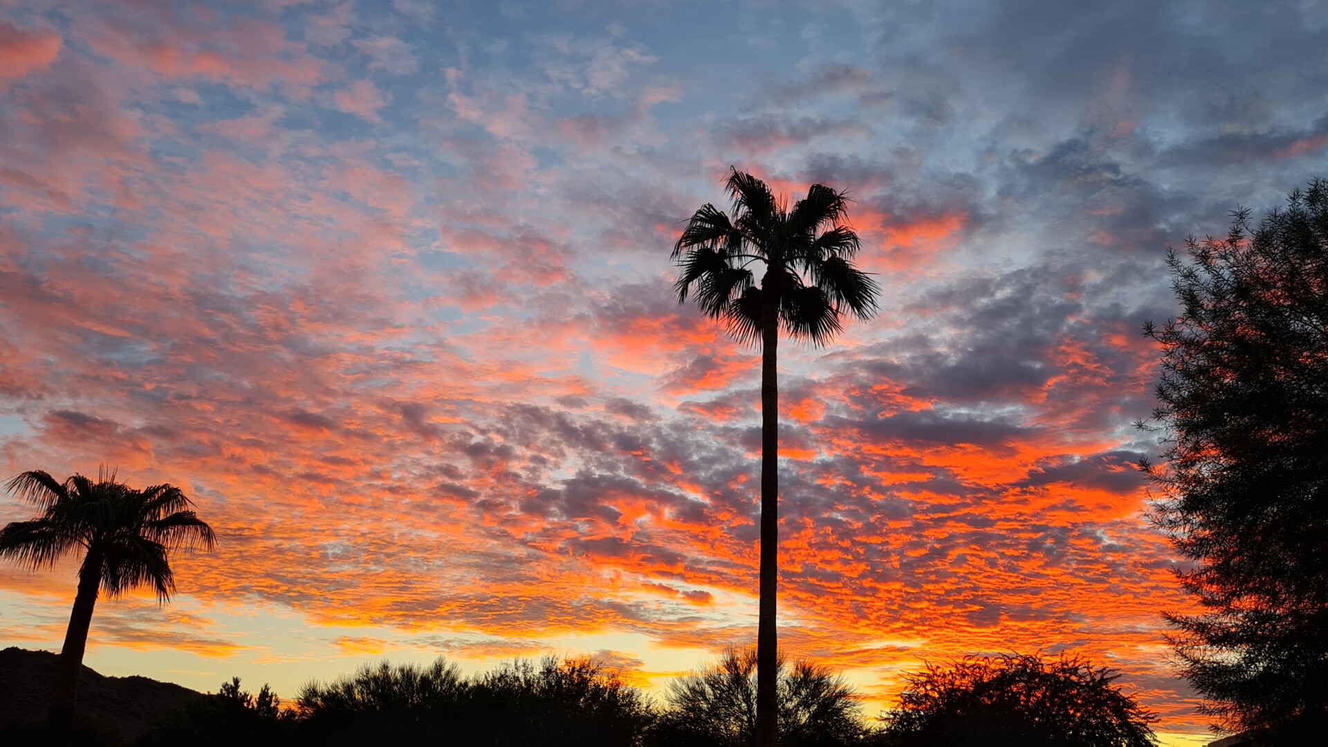 Sonnenaufgang in Arizona — Foto: Christiane Reitshammer