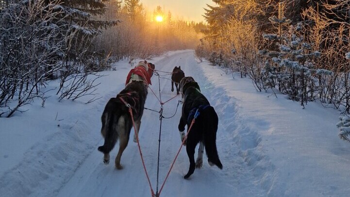 Winter in Finnland &mdash; Foto: Dieter Putz