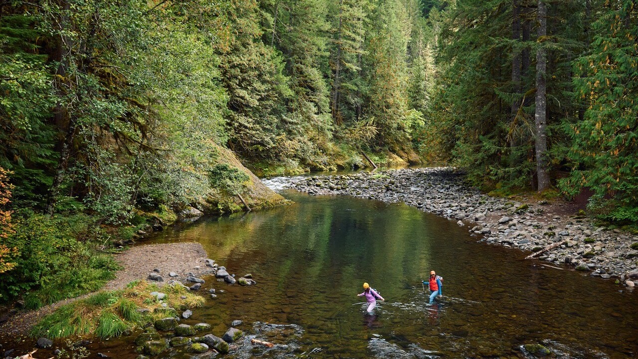 Mt. Hood National Forest, Salmon Creek &mdash; Foto: Travel Oregon / Gritchelle Fallesgon