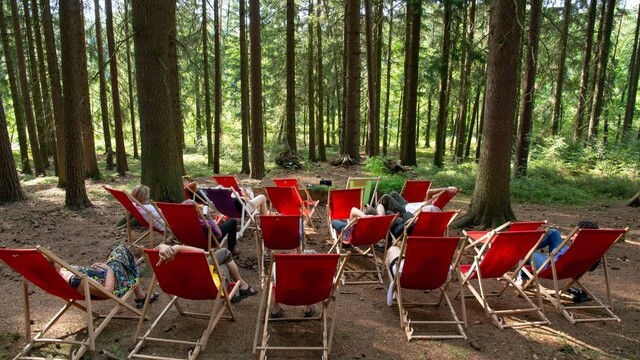 Hörspiel hören im Wald
— Foto: Constantin Widauer
