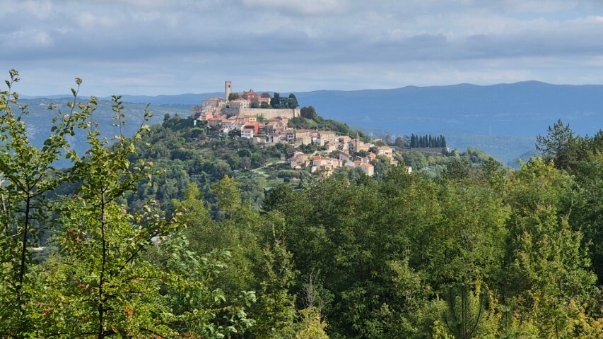 Blick auf Motovun &mdash; Foto: Martha Steszl
