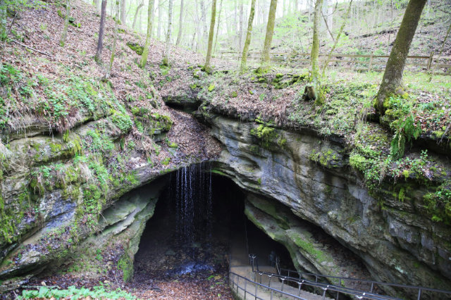 Mammoth Cave Nationalpark, Kentucky — Foto: Brand USA 