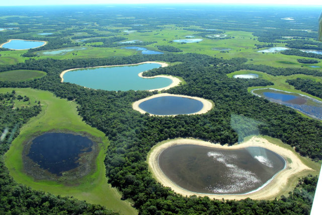 Pantanal, Luftaufnahme — Foto: Shutterstock / Lucas Leuzinger via Embratour
