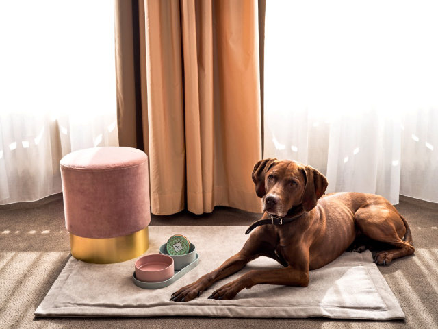 Dogs Welcome — Foto: Flemings Hotels 