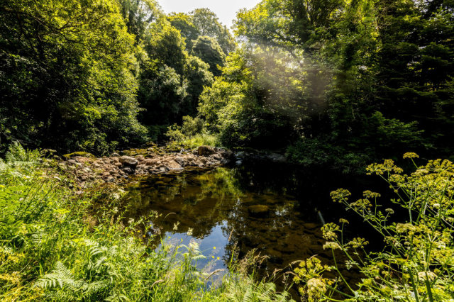 Whitewater River — Foto: Jill Jennings Photography / Tourism Ireland