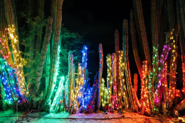 Weihnachtsbeleuchtung — Foto: Aruba Tourism Authority