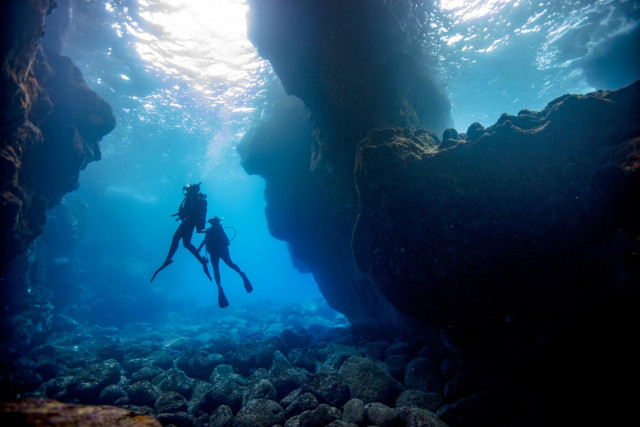 Spannende Unterwasserwelten — Foto: PADI