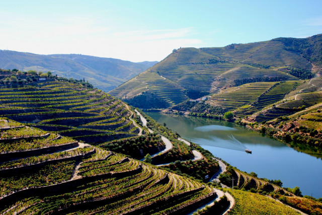 Der Douro mit seinen Weinhängen — Foto: Shutterstock 