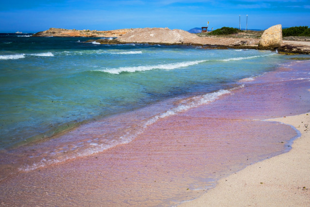 Playa de Ses Illetes — Foto: Shutterstock / bereitgestellt von Urlaubspiraten