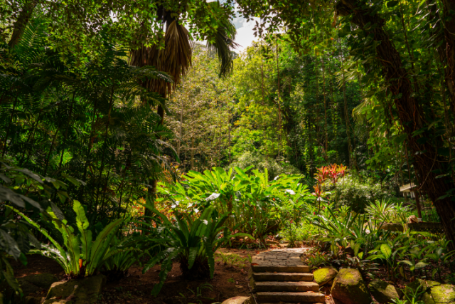 Mahé Botanical Gardens — Foto: SeyVillas.com 
