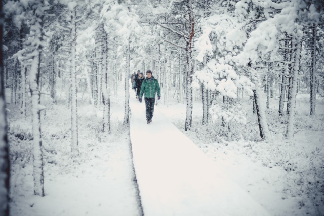 Winterwandern — Foto: Mariann Liimal 