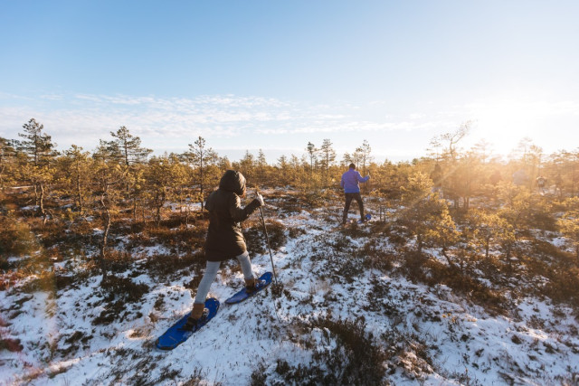 Wandern in den Nationalparks — Foto: Andres Raudjalg / Visit Estonia