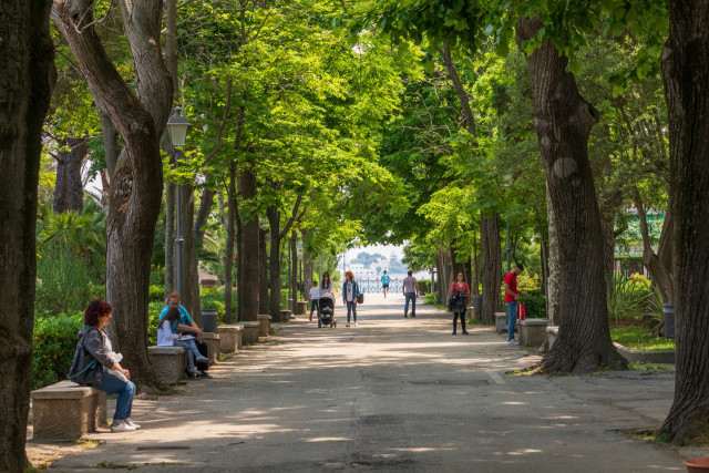 Promenade im Stadtpark — Foto: Shutterstock / Emily Marie Wilson
