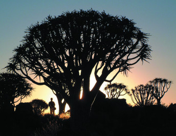 Naturerlebnisse in Afrika — Foto: Kneissl Touristik 