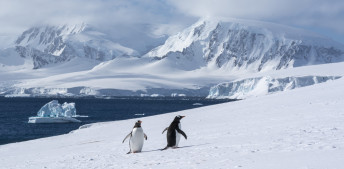 Antarktis — Foto: Yuri Matisse Choufour / Hurtigruten