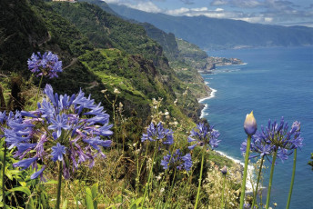 Madeira, die Blumeninsel im Atlantik — Foto: Rhomberg Reisen 