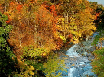 Shenandoah National Park, White Oak Upper Falls — Foto: Virginia Tourism Corporation 