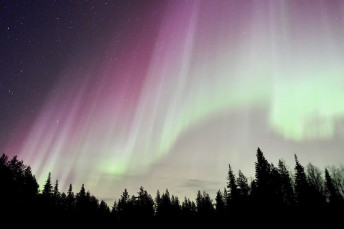 Nordlichter in Schwedisch Lappland — Foto: Wildnisdorf Solberget 