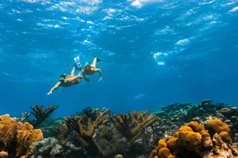 Schnorcheln auf Aruba — Foto: Aruba Tourism Authority_Wing Global Media 