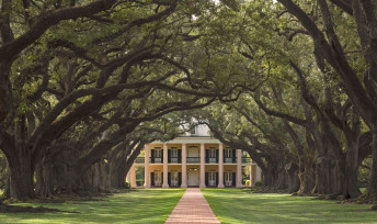 Oak Alley Plantation, historische Plantage in Louisiana, — Foto: Oak Alley Plantation