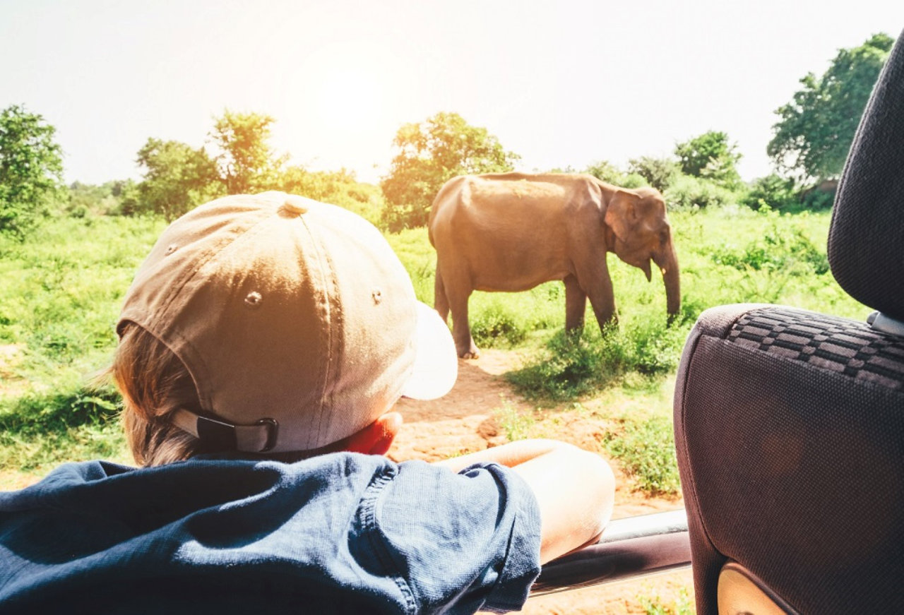 Kinder auf Safari  — Foto: For Family Reisen