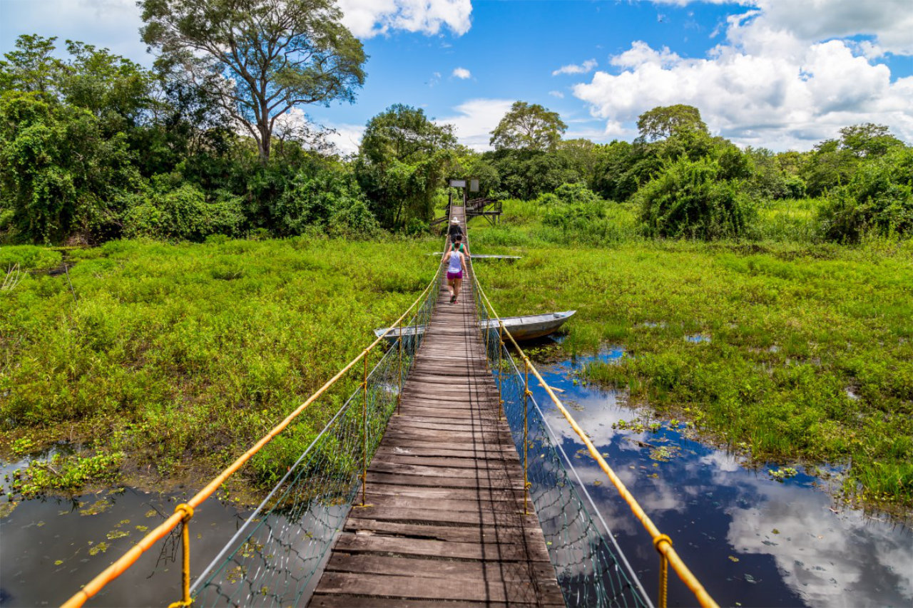 Trails in Pantanal — Foto: Shutterstock / Hakat via Embratour