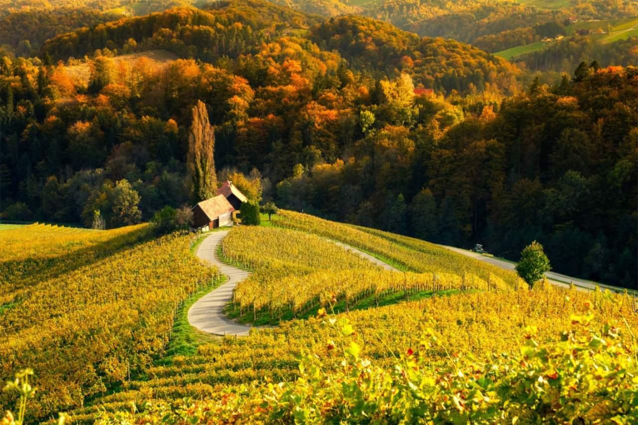 Slowenien — Foto: AdobeStock via Sunny Cars