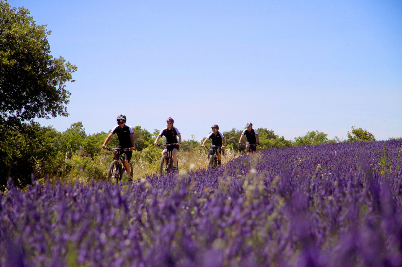 Fahrrad-Tour durch die Lavendelfelder — Foto: Coquillade Provence