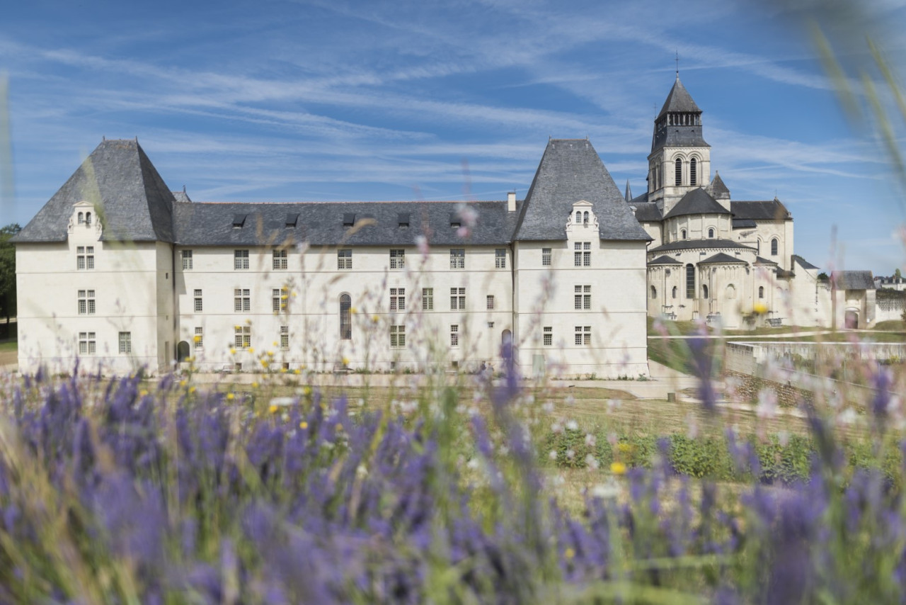Fontevraud, Abbaye royale de Fontevraud — Foto: David Darrault 