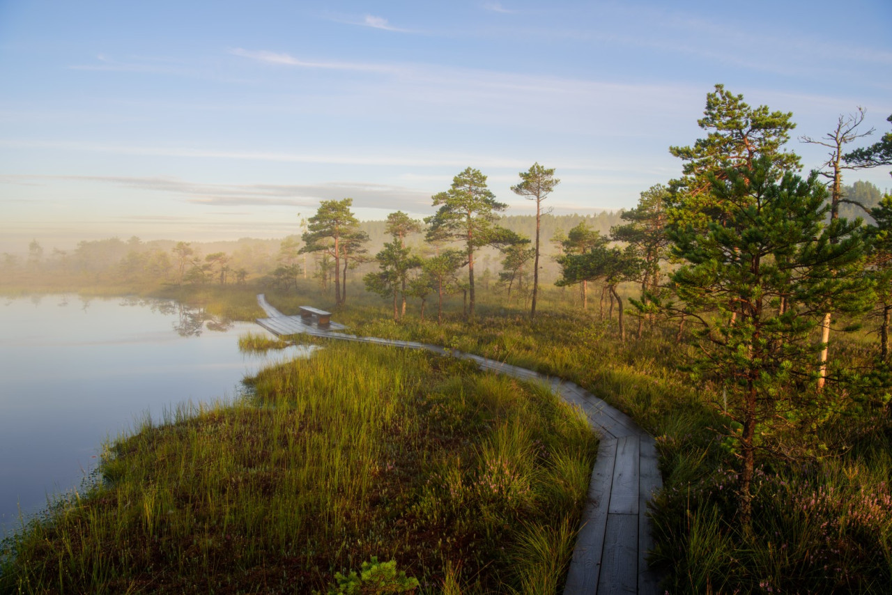 Soomaa National Park — Foto: Sven Zacek / Visit Estonia 