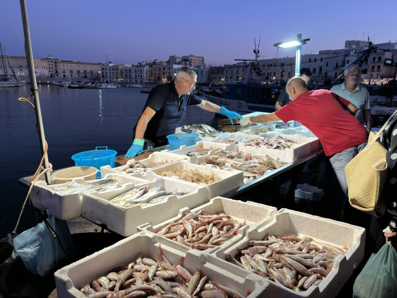 Trani, Fischmarkt — Foto: Wilfried Kropp